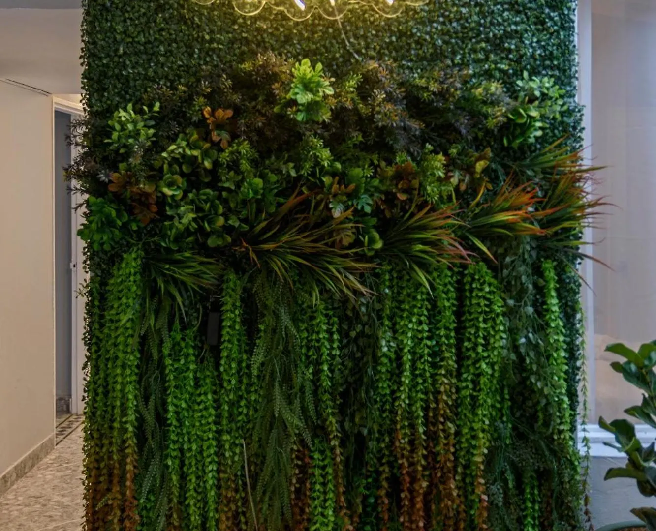 Hotel Hola Medellin