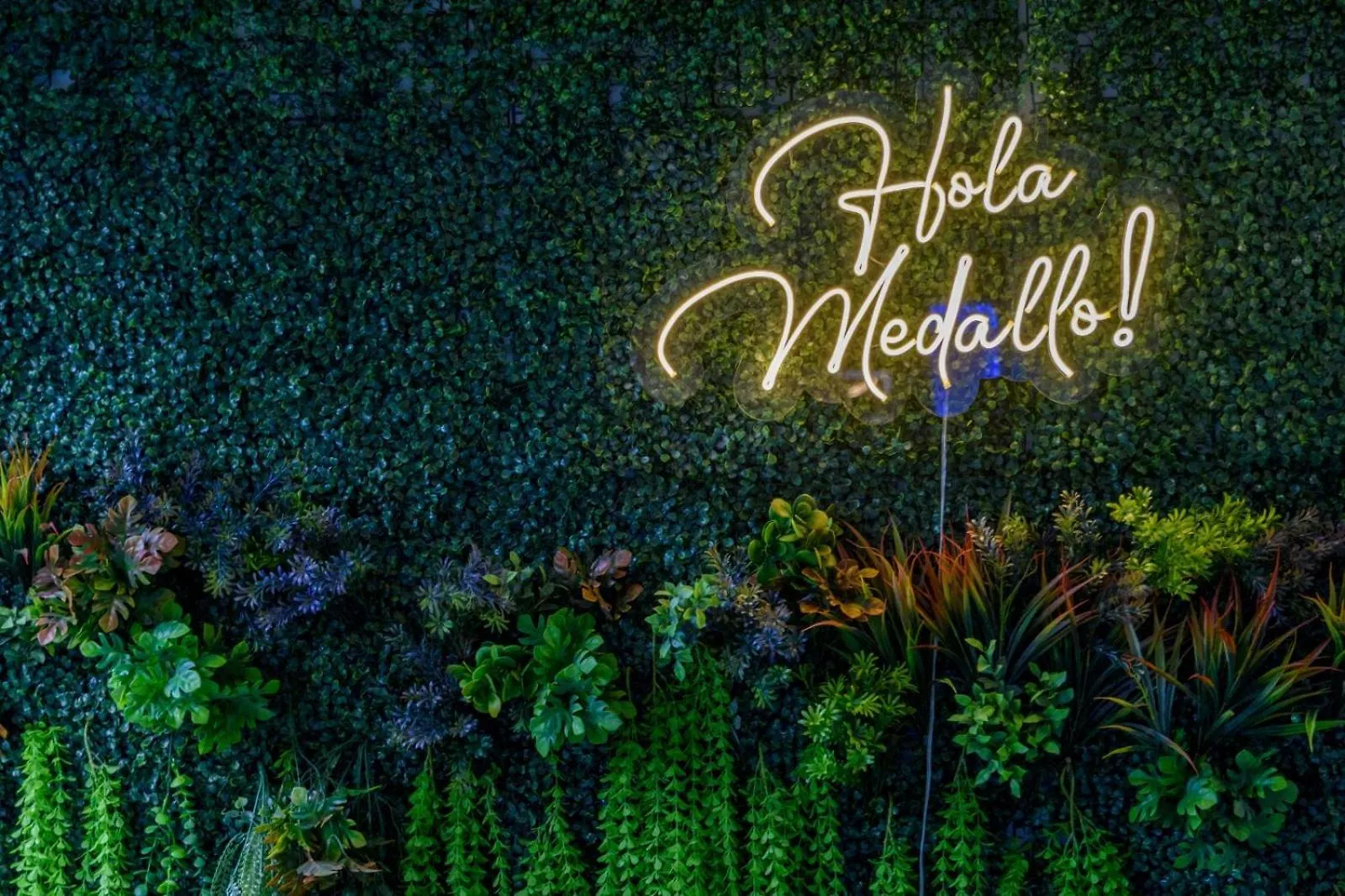 Hotel Hola Medellin